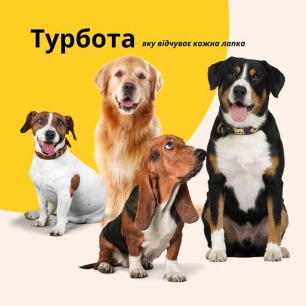 Фото - Лежанка IDEIA 80х120х12 см XL (8-35944*001)
